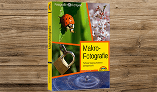 Makrofotografie Makrofotografie