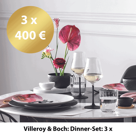 Villeroy & Boch: Dinner-Set: 3 x
