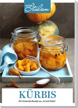 Kostenloses E-Book Kürbis-Rezepte 