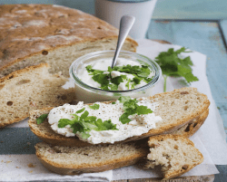 Röllchen aus Weisskohl, Wirsking und mit parmesan