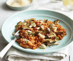 Röllchen aus Weisskohl, Wirsking und mit parmesan