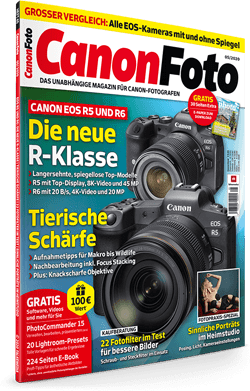 CanonFoto Jahresarchiv kostenlos sichern CanonFoto Jahresarchiv kostenlos sichern